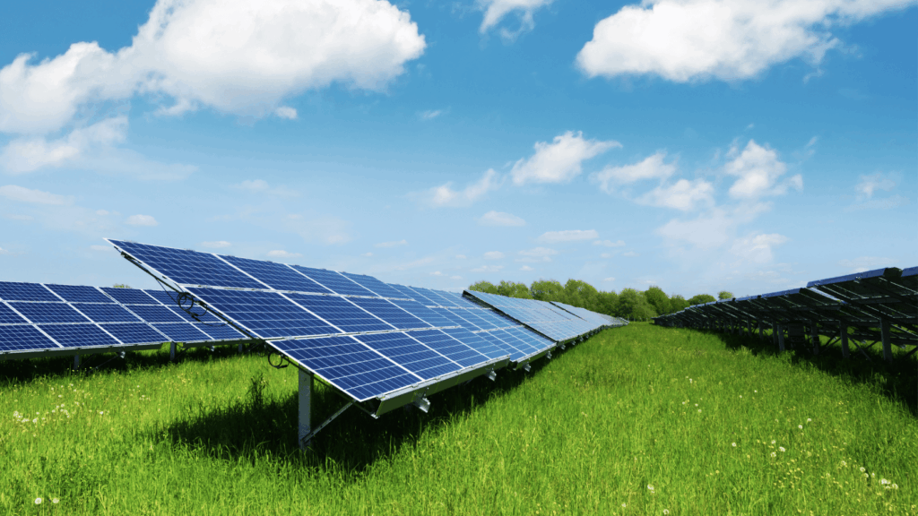 panneau bifacial