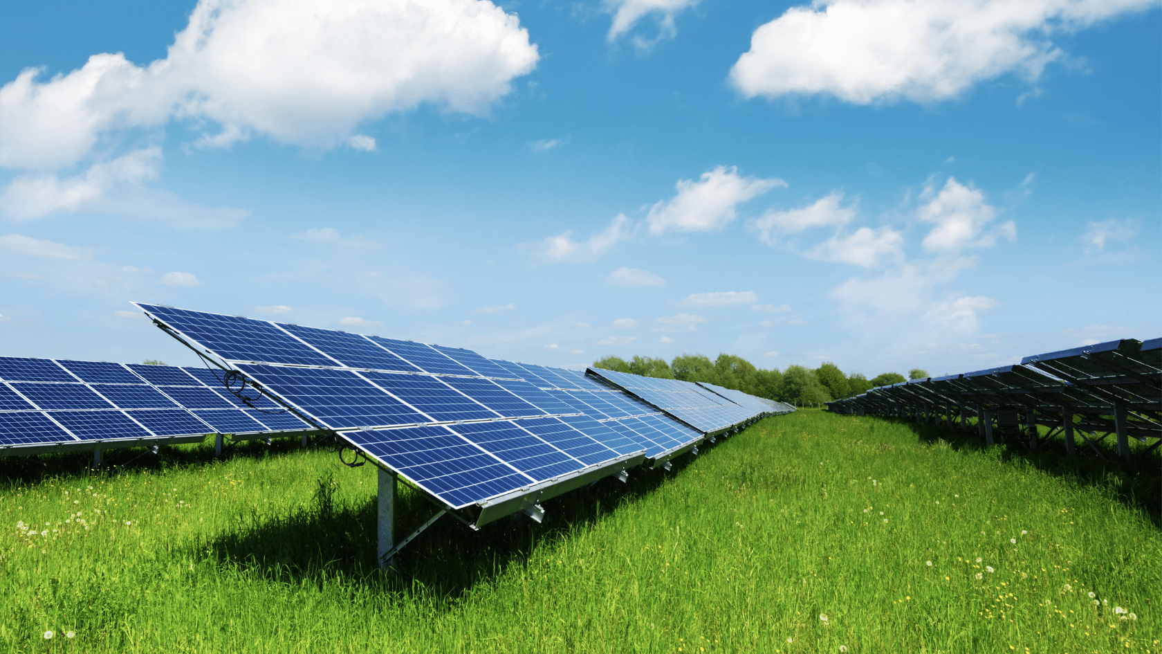 panneau bifacial