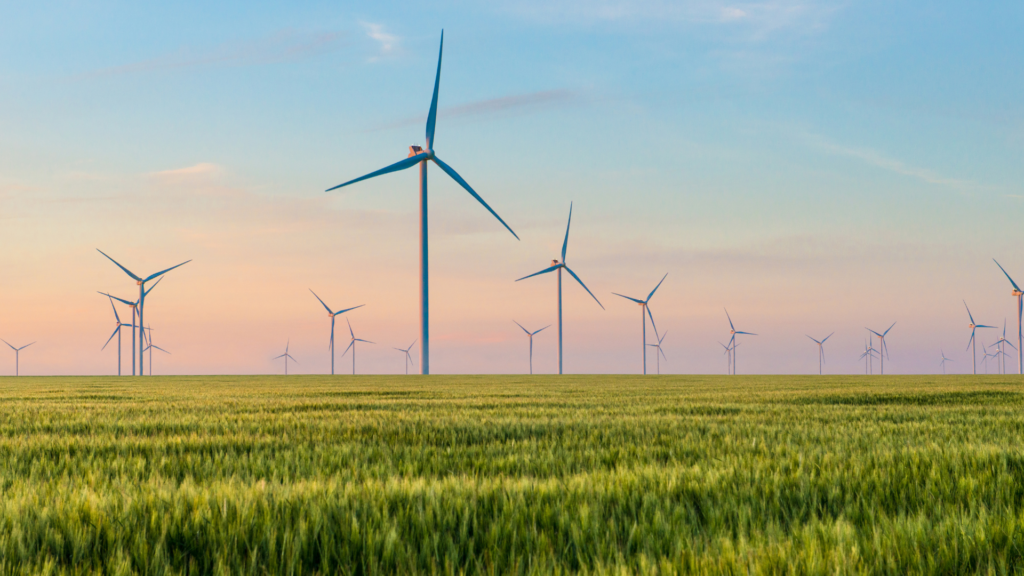 offre d'électricité verte